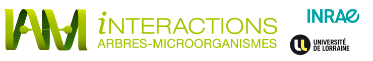 UMR Interactions Arbres-Microorganismes